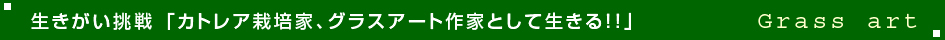 生きがい挑戦　グラスアートラン栽培