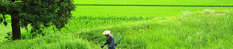 高山市国府町の高齢者の皆さんから請われ、寸暇を惜しんで草刈に励む芸術家・弓削さん