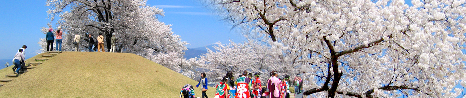 春の甲斐の国の桜