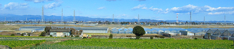 埼玉県深谷市普済寺風景